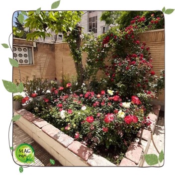 باغچه با صفای منزل خانم نورانی از تهران