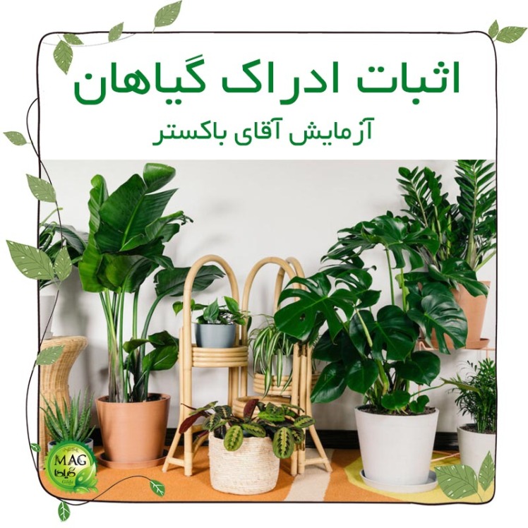 اثبات ادراک گیاهان