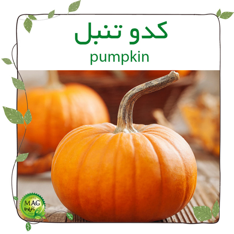 کدو تنبل (pumkin)