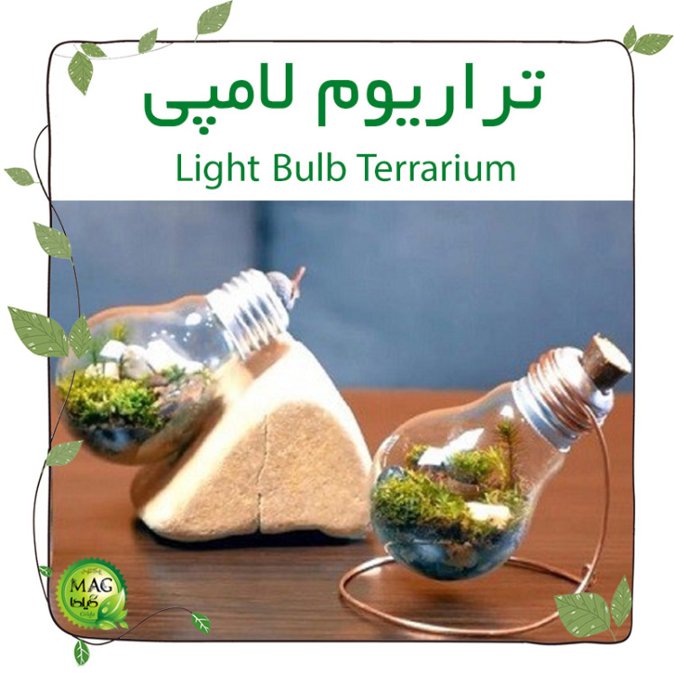 تراریوم لامپی(Light Bulb Terrarium)