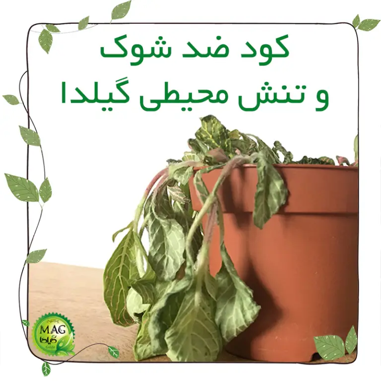 کود ضد شوک و تنش محیطی گیلدا