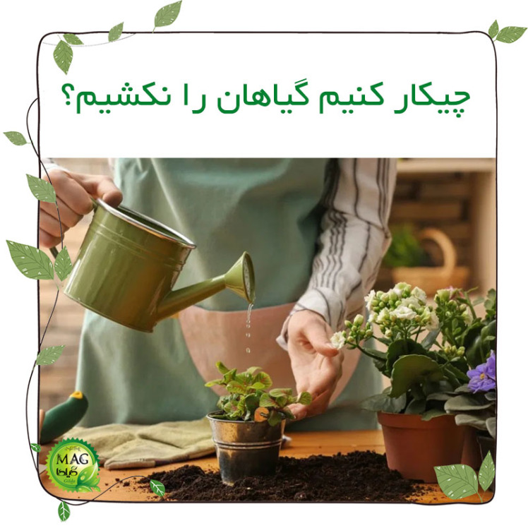 چیکار کنیم گیاهان را نکشیم؟