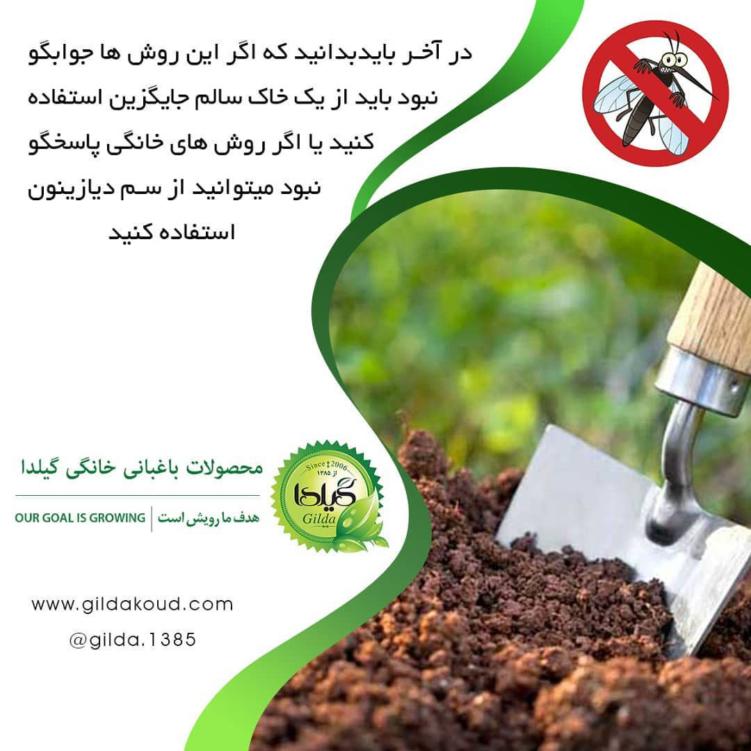 راهکارهای مقابله با پشه خاکی