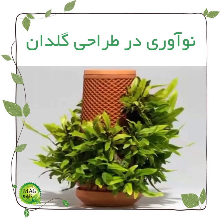 نوآوری در طراحی گلدان